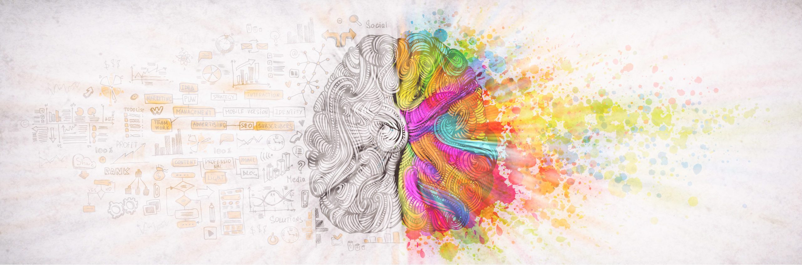 Left right human brain concept, textured illustration. Creative left and right part of human brain, emotial and logic parts concept with social and business doodle illustration and art paint splashes
